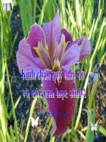 Duong thang qua 2 diem