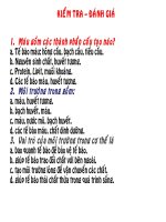 bach cau - mien dich