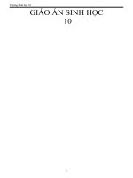 tổng hợp giáo án sinh học 10