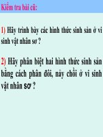 các yếu tố ảnh hưởng đến sinh trưởng VSV-Trí