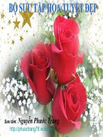 bộ hình nền về hoa cực sốc dùng làm giáo án diện tử