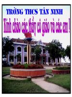 Bài: Mối quan hệ giữa gen và tính trạng.Quyến