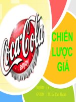 Báo cáo chiến lược giá cocacola