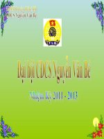 Báo cáo Tổng kết CĐ nhiệm kỳ 2009-2011