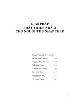 Giải pháp phát triển nhà ở cho người thu nhập thấp