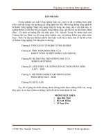 ứng dụng và mô phỏng robot-gryphone