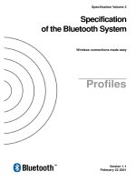 specification of the bluetooth system