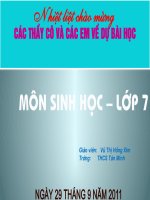 Bài 13: Giun đũa (Giáo án thi GV giỏi)