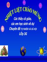 Bài : Thân cây ( tiết 2)