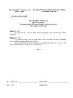 Đề HSG cấp tình môn văn 10-11