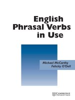 cambridge phrasal verb book