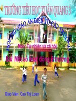 bài 24.một số hoạt động ở trường