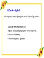 giao an moi truong thuy san