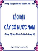 CAY CO NUOC NAM - TUAN 7.