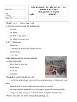 Đề kiểm tra định kì HKI Khoa học 5