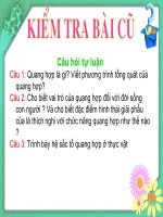 Bài 9: Quang Hợp Ở Các Nhóm Thực Vật C3, C4 và CAM