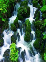 bai7 yeu thien nhien song hoa hop voi thien nhien