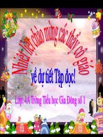 tap đọc tuổi ngưa