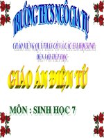 TIẾT 15:GIUN ĐÂT