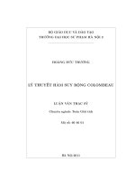 Lý thuyết hàm suy rộng colombeau