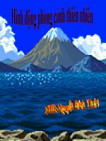 Hình động phong cảnh thiên nhiên