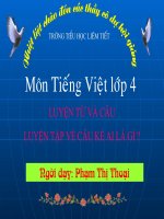 CÂU KỂ AI LA GÌ