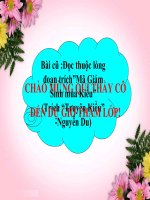 Lục Vân Tiên cứu Kiều Nguyệt Nga;