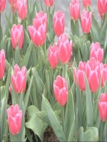 Unit 5: work and play