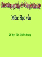 Học vần - Bài Ôn tập tuần 7