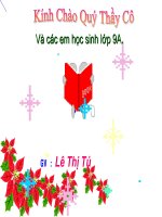 CAN BAC BA - Thao giang