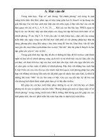 So chinh phuong.ngon tuyet