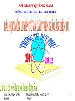 LUYỆN TỪ VÀ CÂU : TỪ NHIỀU NGHĨA