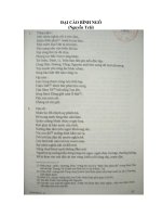 Đại cáo bình Ngô - tác phẩm