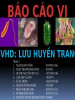 Báo cáo vi sinh nhóm 7