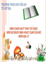 chuyên dề sinh hoạt cụm