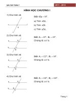 Ôn tập chương I Hình học 7