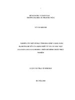 Nghiên cứu một số đặc tính hóa sinh và khả năng hạ đường huyết của dịch chiết từ vỏ cây mắc mật (clausena excavata burm f ) trên mô hình chuột thực nghiệm
