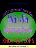 cây con có thể mọc lên từ một bộ phận của cây mẹ