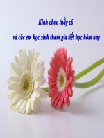 bai 12 ho hap o thuc vat