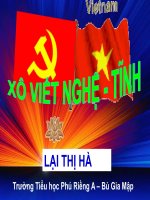 XÔ VIẾT NGHỆ TĨNH - LẠI THỊ HÀ