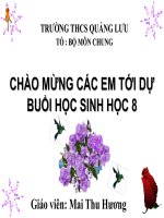 Tiết 12: Thực hành : Tập sơ cứu và băng bó cho người gãy xương
