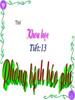 KH4 BÀI : PHÒNG BỆNH BÉO PHÌ