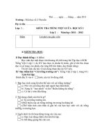 Đề kiểm tra giữa kì I - lớp 2