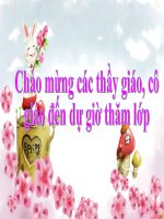 Đèn Tìn Hiệu Giao Thông