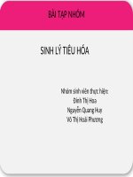 Bài tập nhóm: Sinh lý tiêu hóa