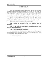 thực trạng hoạt động sản xuất kinh doanh của công ty cổ phần may đông mỹ hanosimex