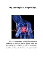 ĐỘT TỬ TRONG QUAN HỆ TÌNH DỤC