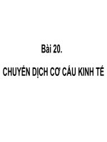 Bài 20: chuyển dịch cơ cấu kinh tế