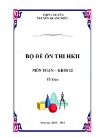 BỘ đề ôn THI học kỳ 2 môn TOÁN 12