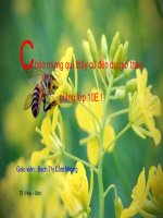 Bảng tuần hoàn các nguyên tố hóa học 10CB